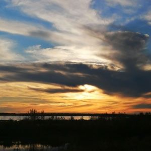 Meet your Posher, Liberty